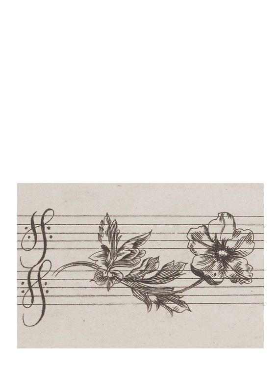 Johann Kuhnaus Blumenzeichnung
